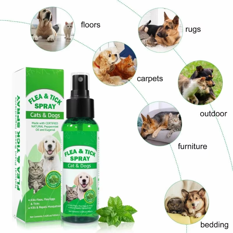 100Ml Cat Fleas & Prevention Scabiesmites Fleas Larvae Pet Health Care